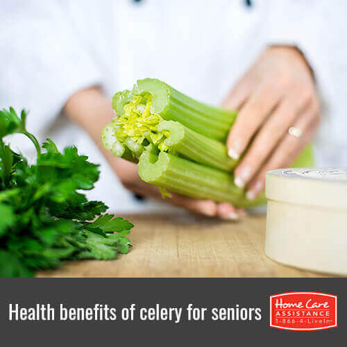 Celery healthy online