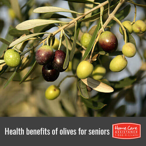 Top 5 health benefits of olives