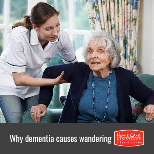 Why Does Dementia Cause Seniors to Wander in Roseville, CA?