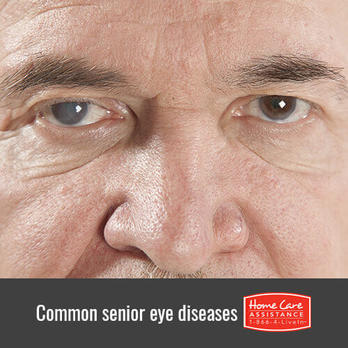 Typical Eye Diseases Among Seniors in Roseville, CA