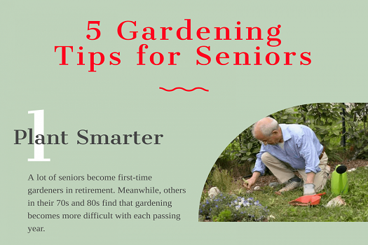 Gardening Tips For Seniors Tips For Starting A Backyard Garden At Your